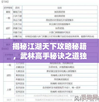 揭秘江湖天下攻略秘籍，武林高手秘訣之道獨家揭秘