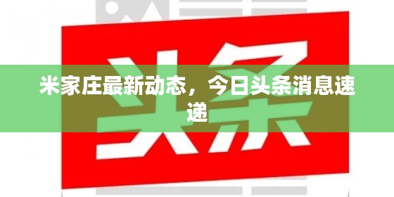米家莊最新動(dòng)態(tài)，今日頭條消息速遞