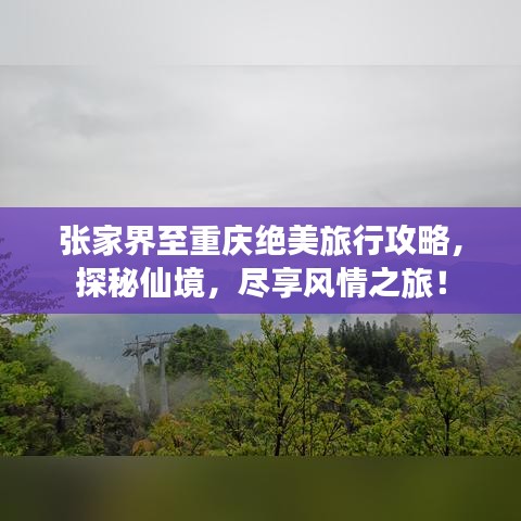 張家界至重慶絕美旅行攻略，探秘仙境，盡享風情之旅！