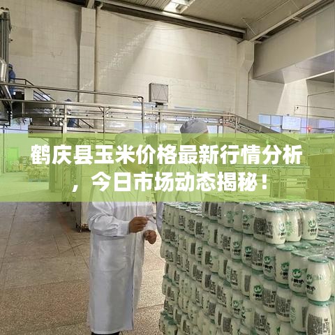 鶴慶縣玉米價格最新行情分析，今日市場動態(tài)揭秘！