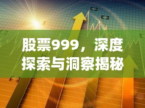 股票999，深度探索與洞察揭秘