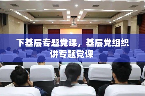 下基層專題黨課，基層黨組織講專題黨課 