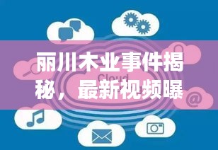 麗川木業(yè)事件揭秘，最新視頻曝光，深度探究背后真相
