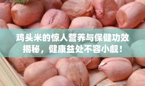 雞頭米的驚人營(yíng)養(yǎng)與保健功效揭秘，健康益處不容小覷！
