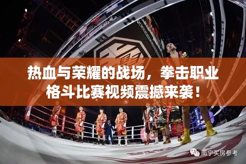 熱血與榮耀的戰(zhàn)場，拳擊職業(yè)格斗比賽視頻震撼來襲！