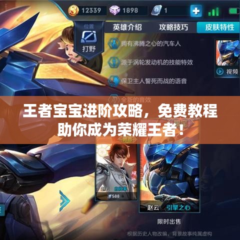 王者寶寶進(jìn)階攻略，免費(fèi)教程助你成為榮耀王者！