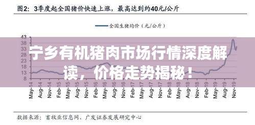 寧鄉(xiāng)有機(jī)豬肉市場行情深度解讀，價(jià)格走勢揭秘！