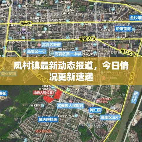 鳳村鎮(zhèn)最新動(dòng)態(tài)報(bào)道，今日情況更新速遞