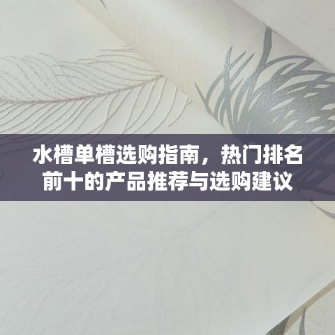 水槽單槽選購指南，熱門排名前十的產(chǎn)品推薦與選購建議