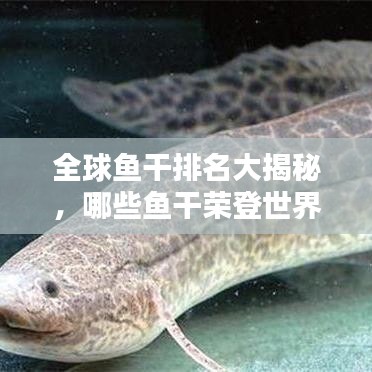 全球魚干排名大揭秘，哪些魚干榮登世界之最榜單？