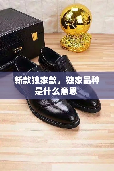 新款獨(dú)家款，獨(dú)家品種是什么意思 