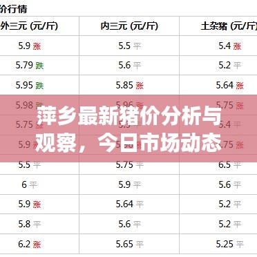 萍鄉(xiāng)最新豬價(jià)分析與觀察，今日市場(chǎng)動(dòng)態(tài)揭秘