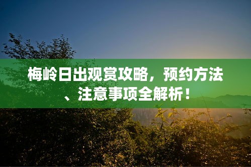 梅嶺日出觀賞攻略，預(yù)約方法、注意事項(xiàng)全解析！