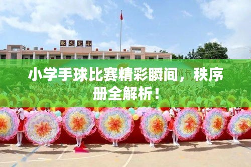 小學(xué)手球比賽精彩瞬間，秩序冊(cè)全解析！