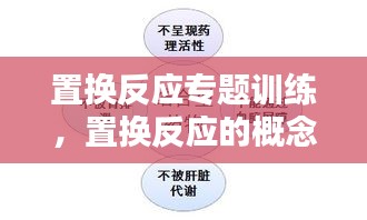 置換反應(yīng)專題訓(xùn)練，置換反應(yīng)的概念和例子 