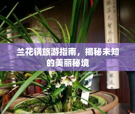 蘭花鍋旅游指南，揭秘未知的美麗秘境