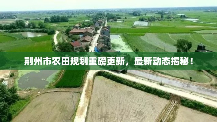 荊州市農(nóng)田規(guī)劃重磅更新，最新動(dòng)態(tài)揭秘！