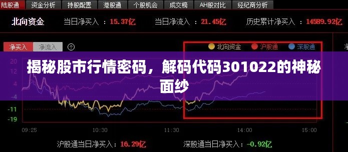 揭秘股市行情密碼，解碼代碼301022的神秘面紗