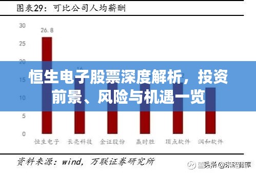 恒生電子股票深度解析，投資前景、風(fēng)險與機遇一覽