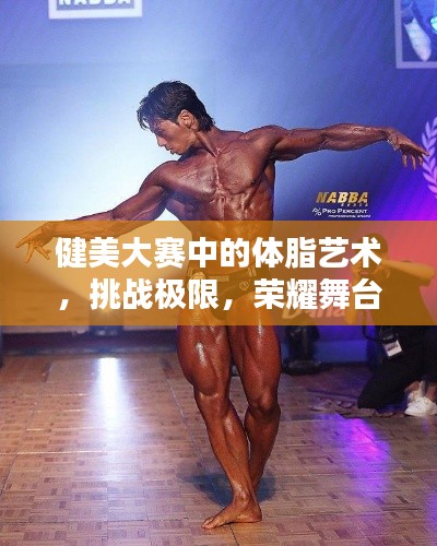 健美大賽中的體脂藝術(shù)，挑戰(zhàn)極限，榮耀舞臺(tái)