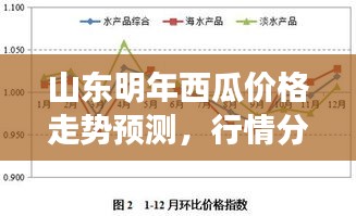 山東明年西瓜價格走勢預測，行情分析與展望