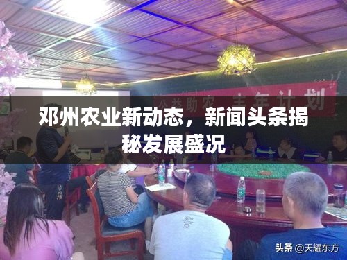 鄧州農(nóng)業(yè)新動(dòng)態(tài)，新聞?lì)^條揭秘發(fā)展盛況