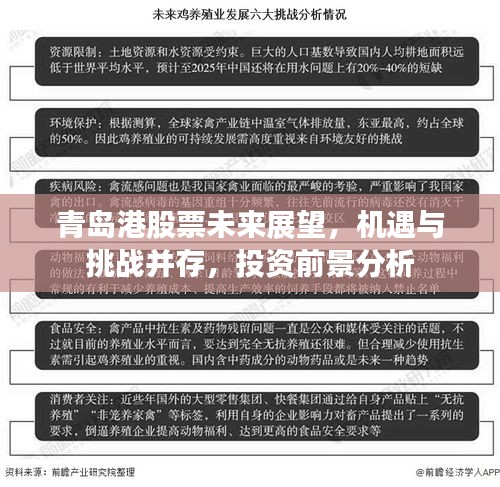 青島港股票未來展望，機遇與挑戰(zhàn)并存，投資前景分析