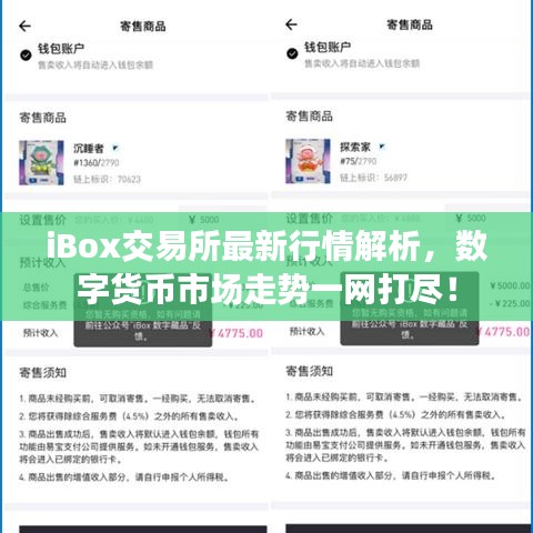 iBox交易所最新行情解析，數(shù)字貨幣市場(chǎng)走勢(shì)一網(wǎng)打盡！