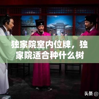 獨(dú)家院室內(nèi)位牌，獨(dú)家院適合種什么樹(shù) 