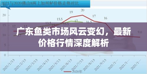 廣東魚類市場風(fēng)云變幻，最新價格行情深度解析