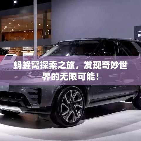 螞蜂窩探索之旅，發(fā)現(xiàn)奇妙世界的無(wú)限可能！
