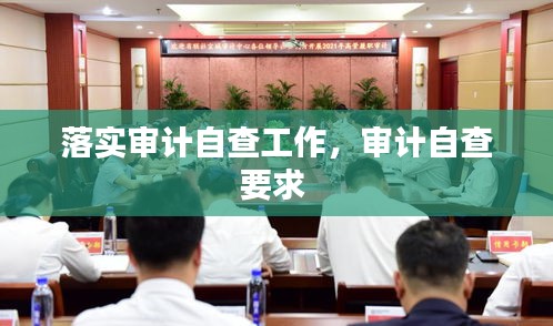 落實(shí)審計(jì)自查工作，審計(jì)自查要求 