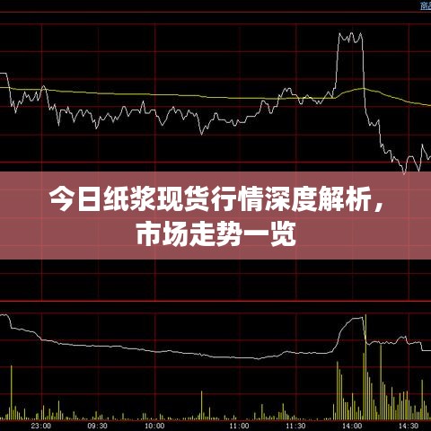 今日紙漿現(xiàn)貨行情深度解析，市場走勢一覽