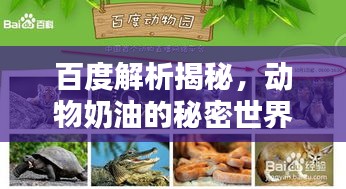百度解析揭秘，動物奶油的秘密世界！