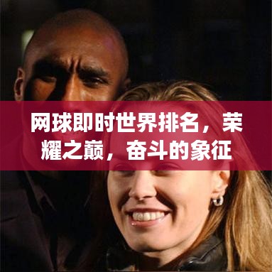 網(wǎng)球即時(shí)世界排名，榮耀之巔，奮斗的象征