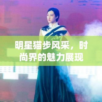 明星貓步風(fēng)采，時(shí)尚界的魅力展現(xiàn)