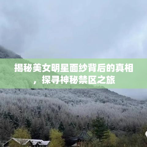 揭秘美女明星面紗背后的真相，探尋神秘禁區(qū)之旅