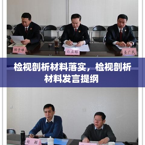檢視剖析材料落實，檢視剖析材料發(fā)言提綱 