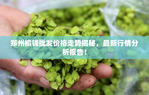 招標采購 第13頁