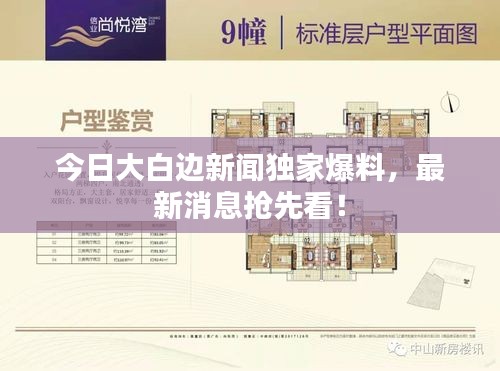 公司概況 第16頁