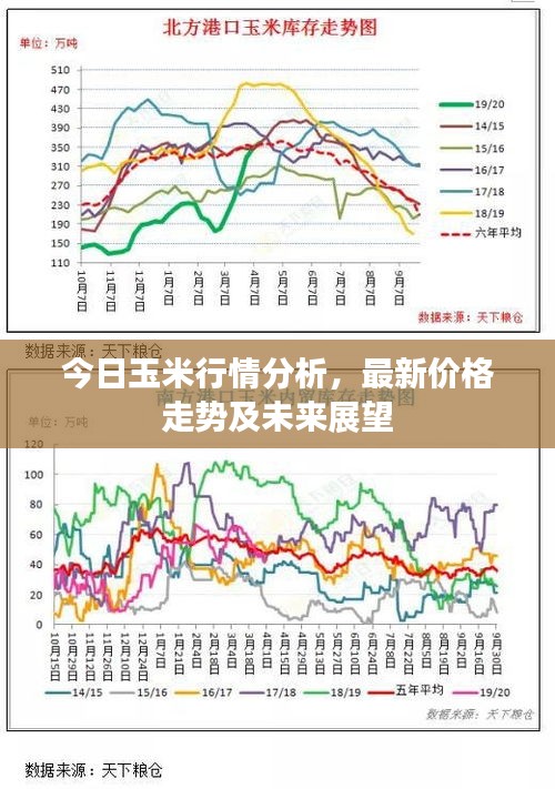 今日玉米行情分析，最新價(jià)格走勢(shì)及未來(lái)展望