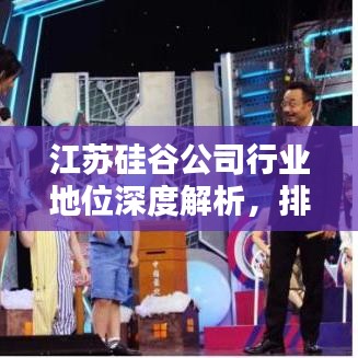 江蘇硅谷公司行業(yè)地位深度解析，排名前瞻