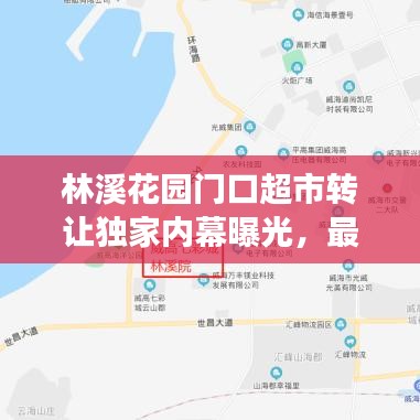 林溪花園門口超市轉(zhuǎn)讓獨(dú)家內(nèi)幕曝光，最新消息揭秘重磅交易！