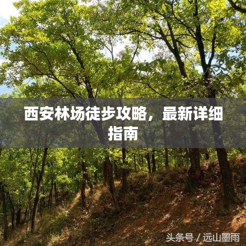 西安林場(chǎng)徒步攻略，最新詳細(xì)指南