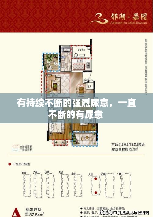 有持續(xù)不斷的強(qiáng)烈尿意，一直不斷的有尿意 