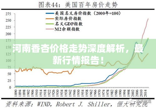 河南香杏價格走勢深度解析，最新行情報告！