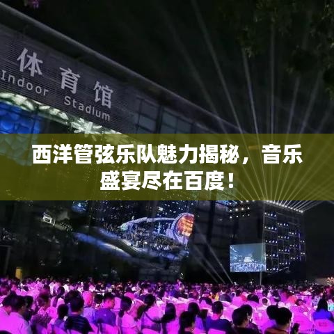 西洋管弦樂隊(duì)魅力揭秘，音樂盛宴盡在百度！