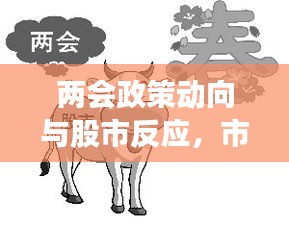 兩會(huì)政策動(dòng)向與股市反應(yīng)，市場(chǎng)走勢(shì)揭秘，投資機(jī)會(huì)前瞻