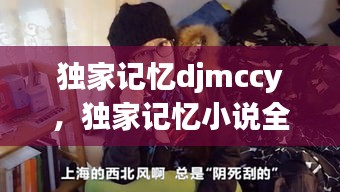 業(yè)績展示 第13頁