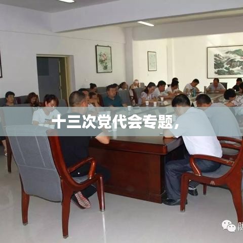十三次黨代會專題， 